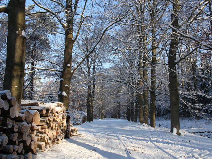 haardhout terra nova stapels hout voor de volgende winter